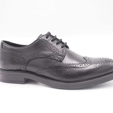 Parrotto MS65R06-Black